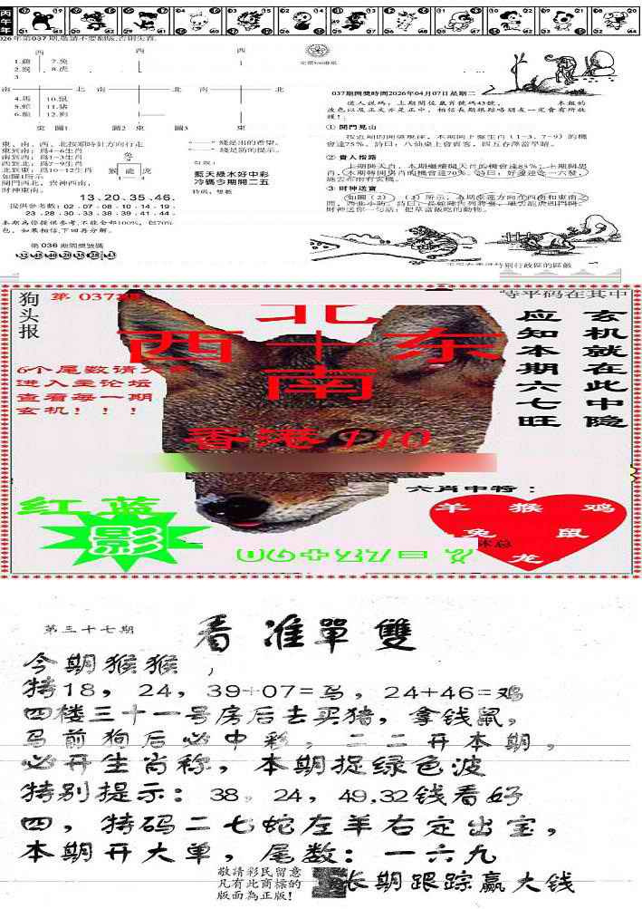 037期特码内幕B[图]