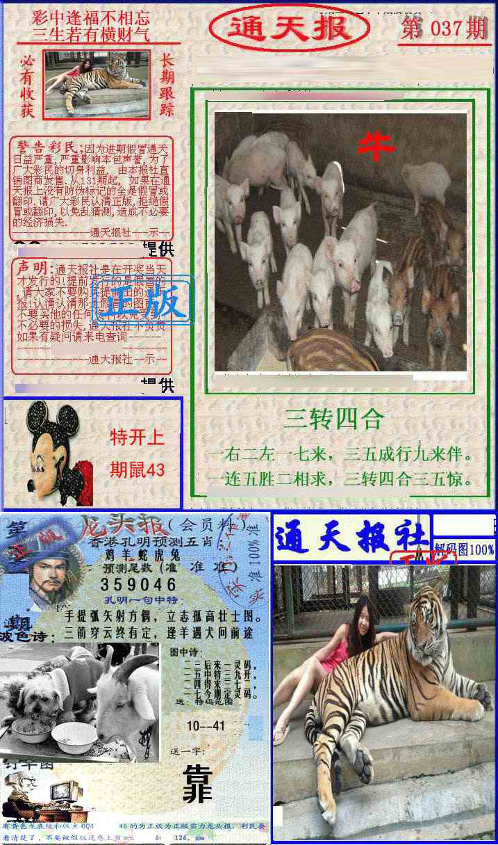 037期实力通天报[图]